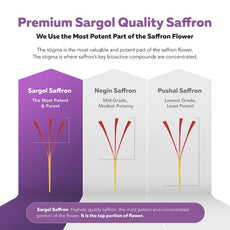 Customization Dietary Supplement Saffron Extrac Capsules Boosts immune