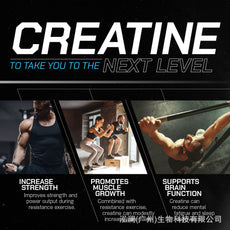 Customization Dietary Supplement Creatine Monohydrate Powder
