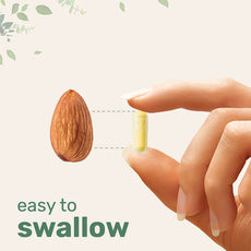 Customization Dietary Supplement Capsules Saffron Extract supports eye health Capsules