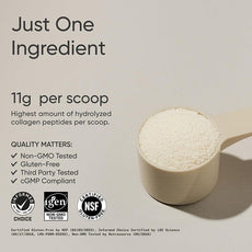 OEM private label collagen. Shows single ingredient 11g scoop, Non-GMO, Gluten-Free, and cGMP compliant manufacturing.