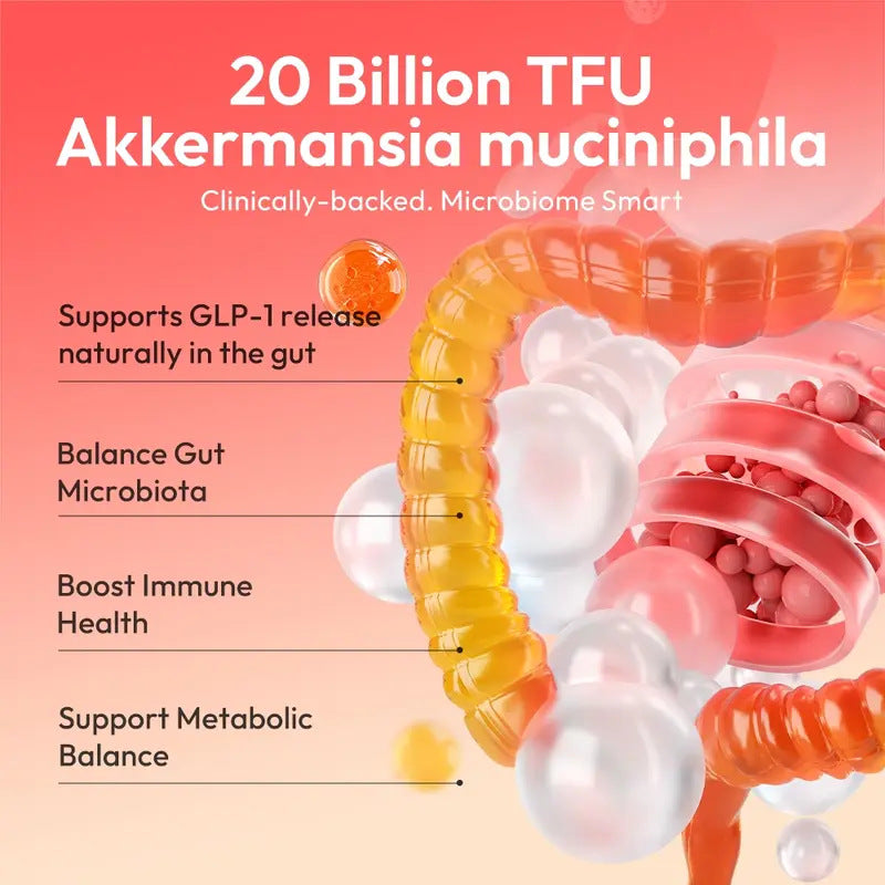 OEM private label GLP-1 probiotic. 20 Billion TFU Akkermansia muciniphila targeting gut microbiota and metabolic balance.
