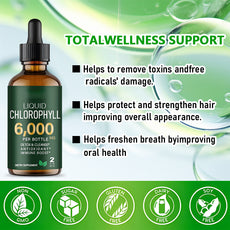 OEM private label chlorophyll drops. 60ml bottle and box showing 6000mg detox and antioxidant support formulation.