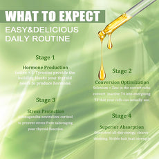 OEM private label thyroid supplement. 4 stages of hormone production, conversion optimization, stress protection, and absorption.